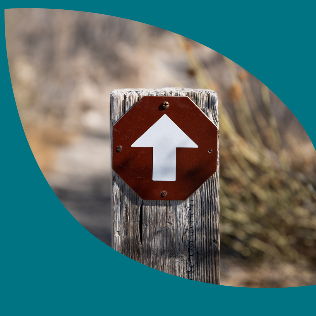 A wooden sign post on a nature trail with a sign of a white arrow pointing up or straight ahead